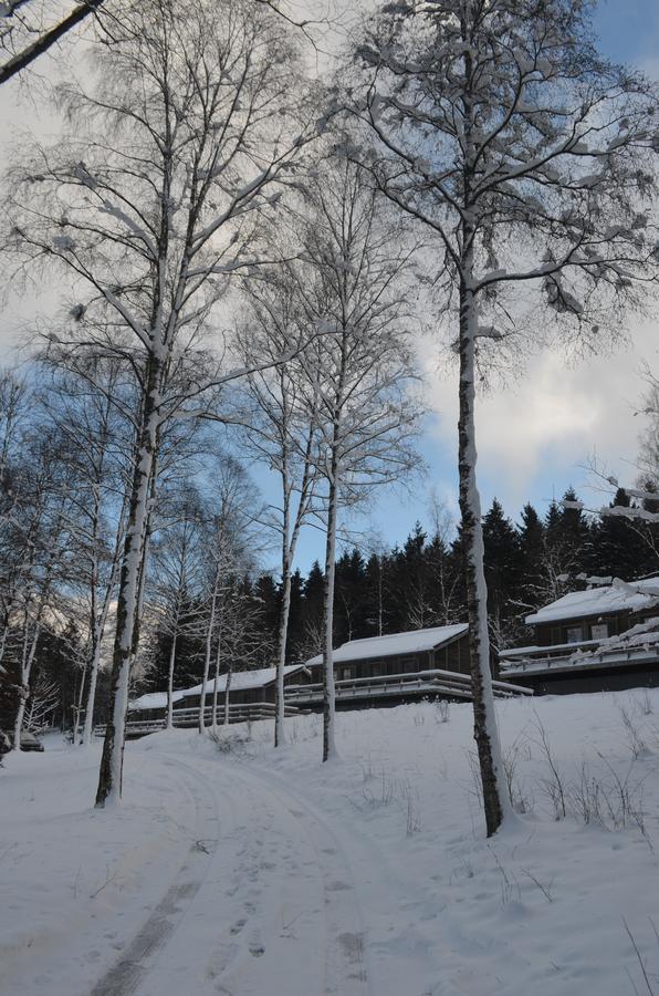 Chalet Le Forestier Бюллинген Экстерьер фото