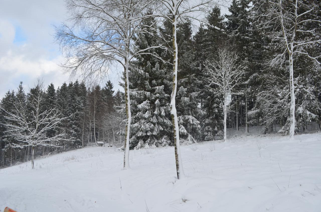 Chalet Le Forestier Бюллинген Экстерьер фото