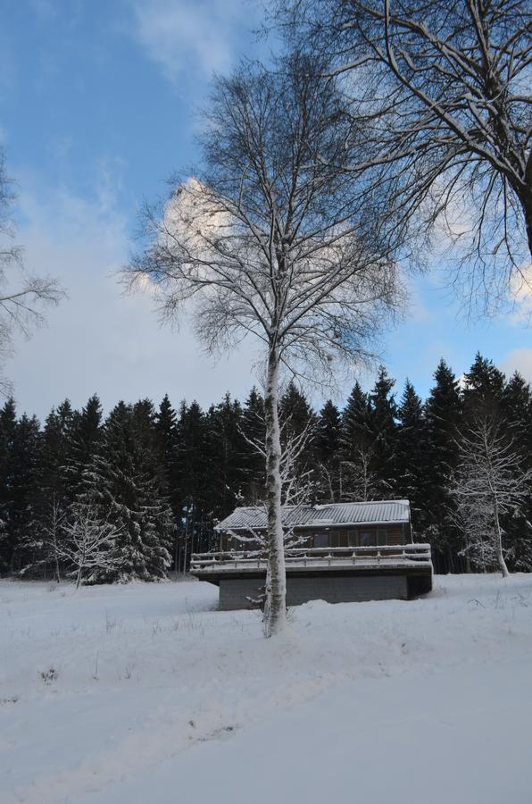 Chalet Le Forestier Бюллинген Экстерьер фото