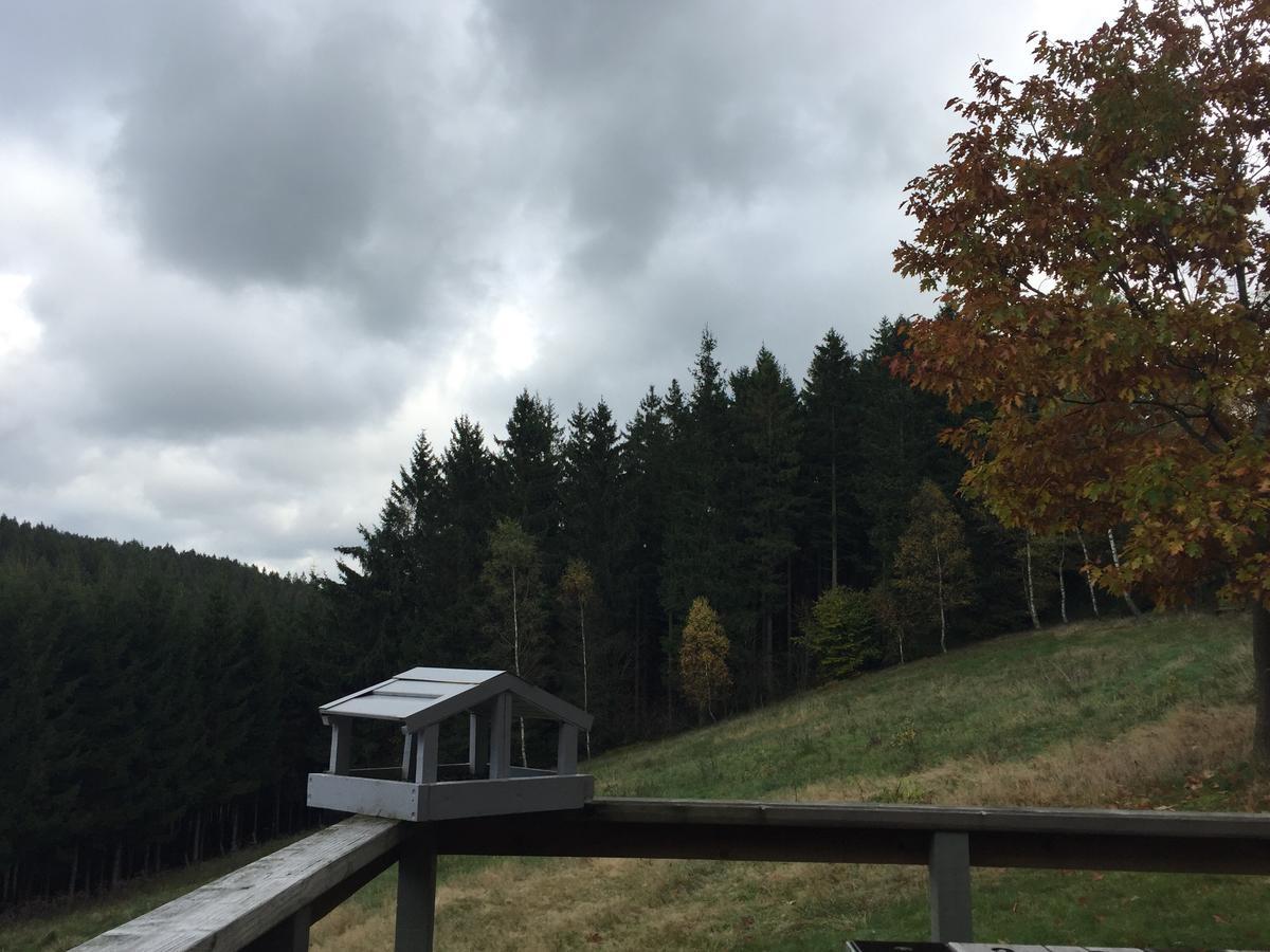 Chalet Le Forestier Бюллинген Экстерьер фото