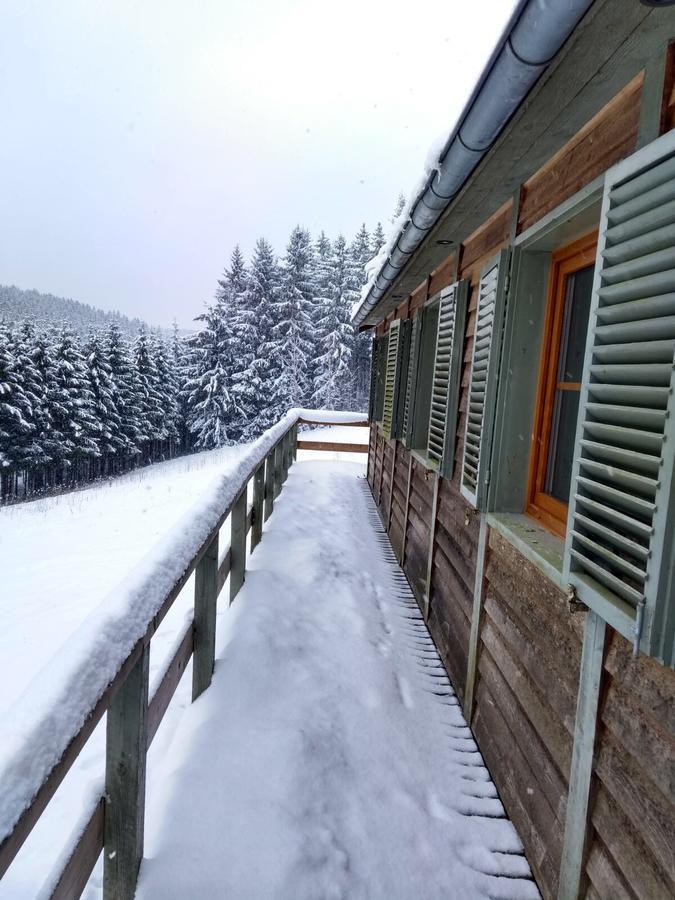 Chalet Le Forestier Бюллинген Экстерьер фото
