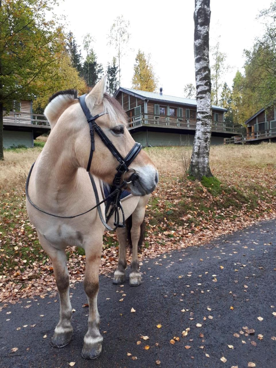 Chalet Le Forestier Бюллинген Экстерьер фото