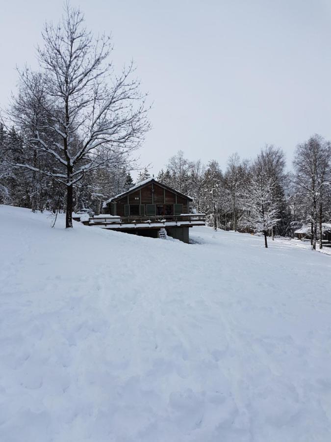 Chalet Le Forestier Бюллинген Экстерьер фото